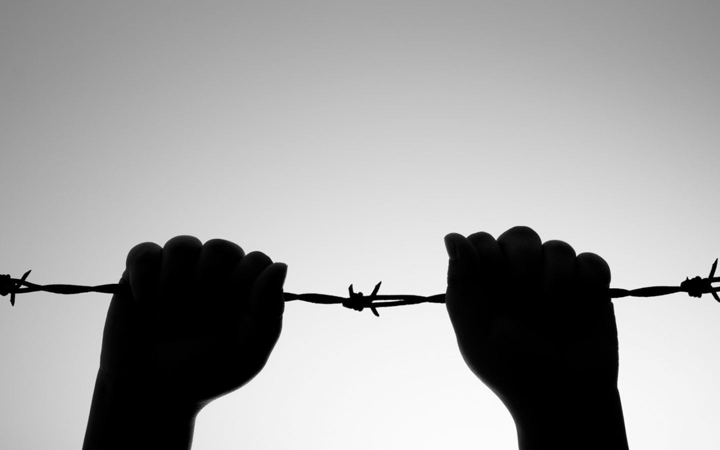 Silhouette of hands holding onto barbed wire