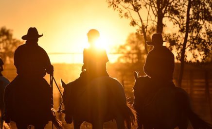 Riders on horses at sunset. © Wayne Quilliam