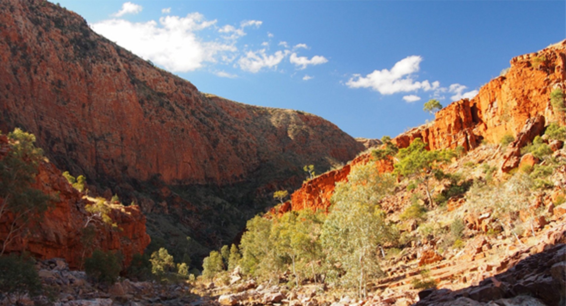 A section of the Larapinta Trail -- a beautiful orange stone gorge © Private