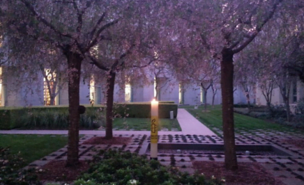 A candle marking World Day Against the Death Penalty 2016.