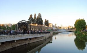 Maria's home town of Hama, on the banks of the Orontes River in central Syria. © Flickr/Alessandra Kocman