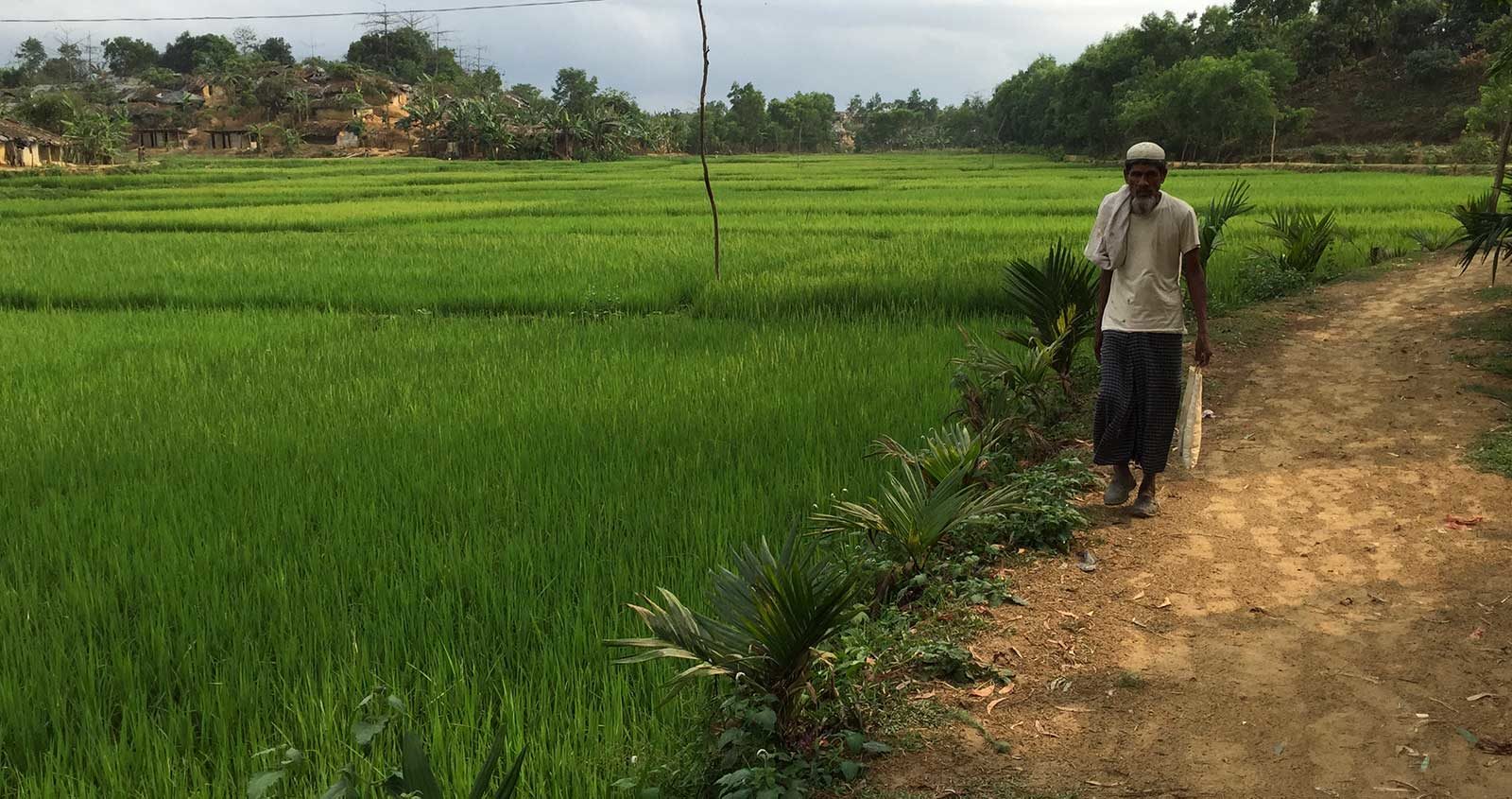 A Rohingya man walking along a path