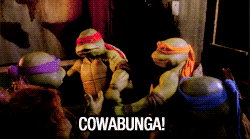A gif of cartoon characters (The Turtles) giving each other a high five with the word 'Cowabunga' flashing across it.