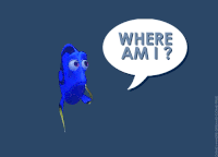An animated gif of Dory from the animation film 'Finding Nemo' with a speech bubble next to her asking: 'Where am I?'