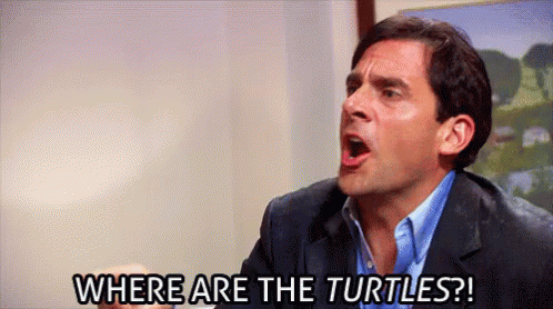 An animated gif of the character Michael from US version of The Office shouting 'Where are the turtles?'