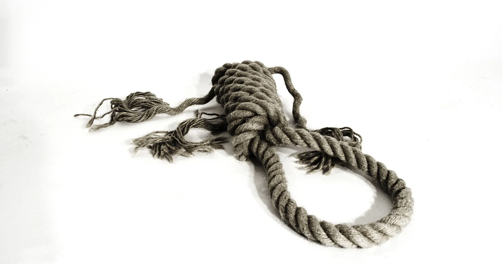 A hangman's noose on a white background