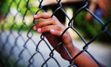 Small hands on a fence