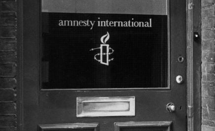 Amnesty History