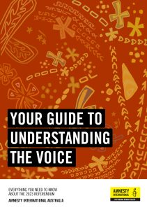 Amnesty Guide to Understanding the Voice front cover
