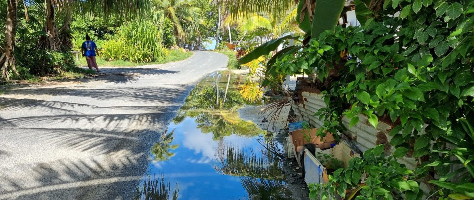 Saltwater comes from underground in the low-lying atoll nation of Tuvalu, where the population of 11,000 people are experiencing firsthand the effects of a destabilized climate, including food crops poisoned by saltwater, coastal erosion, fresh water scarcity, worsening king tides and stronger storms.